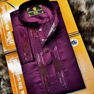Premium Sequence Panjabi