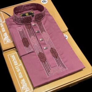 Premium Sequence Panjabi