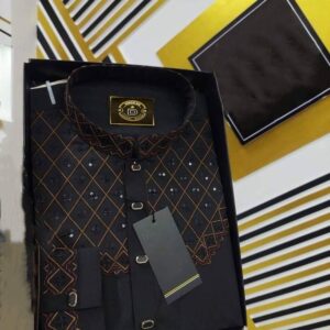 Eid Collection Panjabi