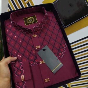 Eid Collection Panjabi Copy