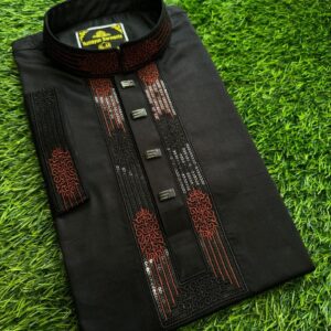 Embroidery Panjabi