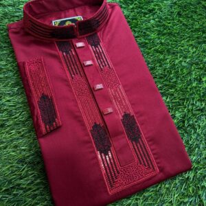 Embroidery Panjabi