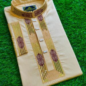 Embroidery Panjabi