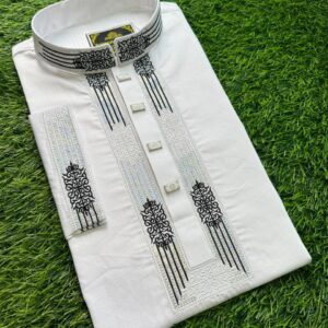 Embroidery Panjabi
