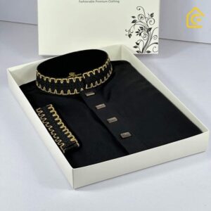 New Design Premium quality panjabi