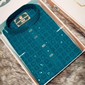 Premium Quality Indian Sequence Work Panjabi Best Quality