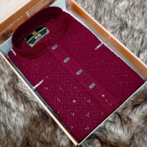 Premium Quality Indian Sequence Work Panjabi Best Quality